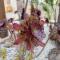 Amaryllis Hotel