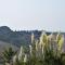 Lovely farmhouse in Tuscany with panoramic view