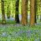 Rosdarrig Bed & Breakfast