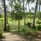 Sunny garden rooms Watamu