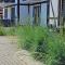 Apartament Bursztynowy