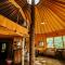 Escape to Tree House Island Life