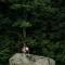 Escape to Tree House Island Life
