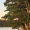 Hammock Haven Island Dome