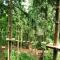 Tranquil holiday home in the middle of nature