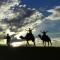 Riad Aicha & Camel Trekking