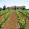 Domaine d'Augnac photo 17