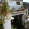 B&B Amphisya