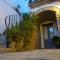 B&B Amphisya