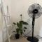 Kolamba Gedara green apartment