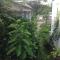 Foto: Manh Duyen Garden Homestay 35/86