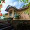 After the Rains - Rainforest Lodge