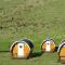 Glamping & Camping