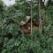 Our Jungle House