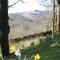 Tarnside