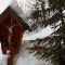 Alpin Apartments Colfosco