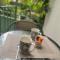 Vieil Antibes, ravissant 2p avec petite terrasse
