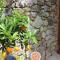 B&B CANNETO