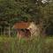 Bed and breakfast de Boerderij