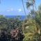 Seaview Manor Exquisite Bed & Breakfast