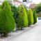 Guest House Aldin