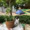 Canoa Roots Hostel & Camping