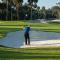 16 Fairway Club Dr Natures Nook