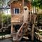 Olive Tree House