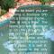 Broome bohemian poolside retreat