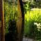 BIRDIE Pension & Wellness