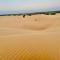 Amazing Desert Camp
