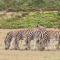 Indalu Game Reserve