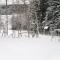 Holiday Home in Sauerland near Rothaar Mountains