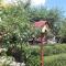 Apartment for 8+2 person in Lopar - Insel Rab 17738