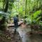 Daintree Siesta