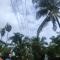 Chills homestay