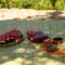 Peradze Wine Cellar Vineyard Cottages