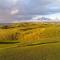 Seanor House Bed & Breakfast