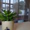 Panorama Self Catering 2