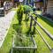 DOMEK POD LIMBAMI III