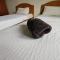 Hotel Check Inn 2