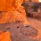 Wadi Rum Desert Wonders Camp