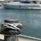 Caesar Premier Eilat Hotel