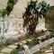Il Giardino Di Benedetta