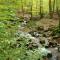 Gite des Bois de Spa