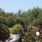 Villas Michalis - Chorafakia