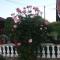 Guesthouse Tomas