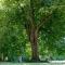 Gite - Li Badet - 19 personnes - Jacuzzi - Sauna