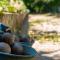 Gite - Li Badet - 19 personnes - Jacuzzi