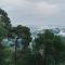 Night Sky Stay kasauli Entire 3BHK 4BHK 6BHK peaceful with massive Garden Walking Path